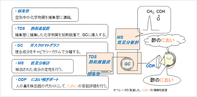 におい嗅ぎGC/MS分析概要