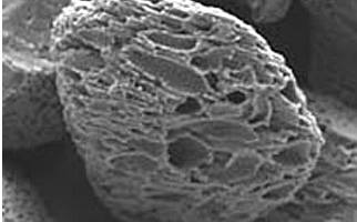 ヤシ殻活性炭の電子顕微鏡写真