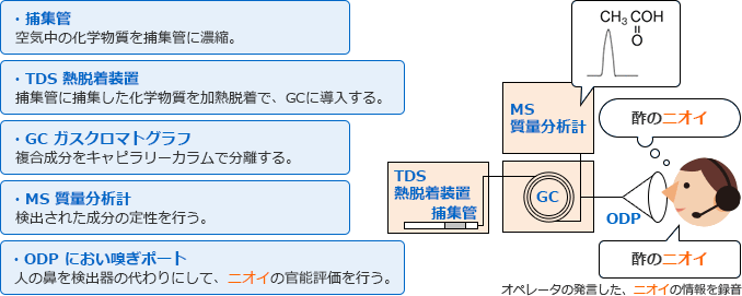 におい嗅ぎGC/MS