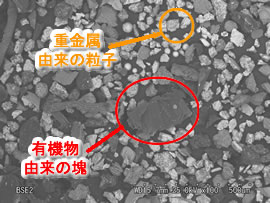 粉じんの電子顕微鏡観察写真（反射電子像）